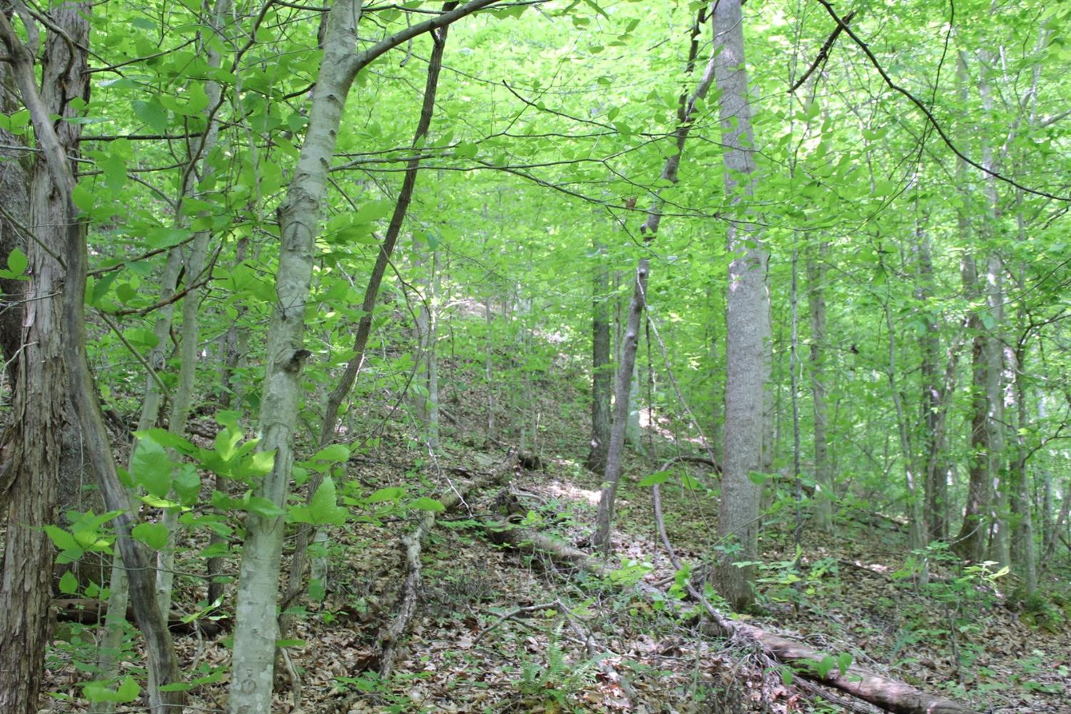 2010 Pryse Road Irvine, KY 40336 - Photo 32 of 56 Photo 32