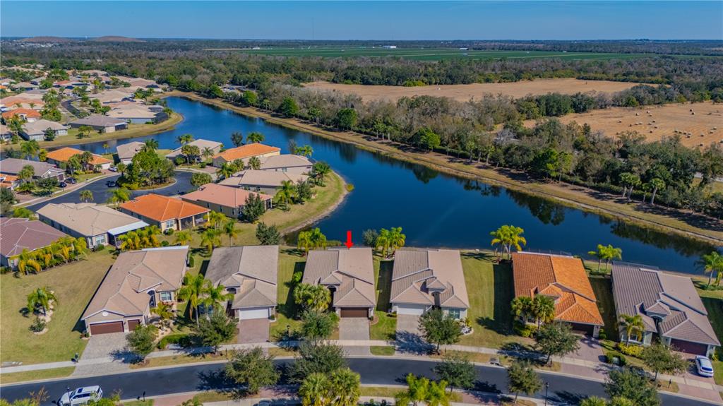 16108 Cedar Key Drive Wimauma, FL 33598 - Photo 2 of 48