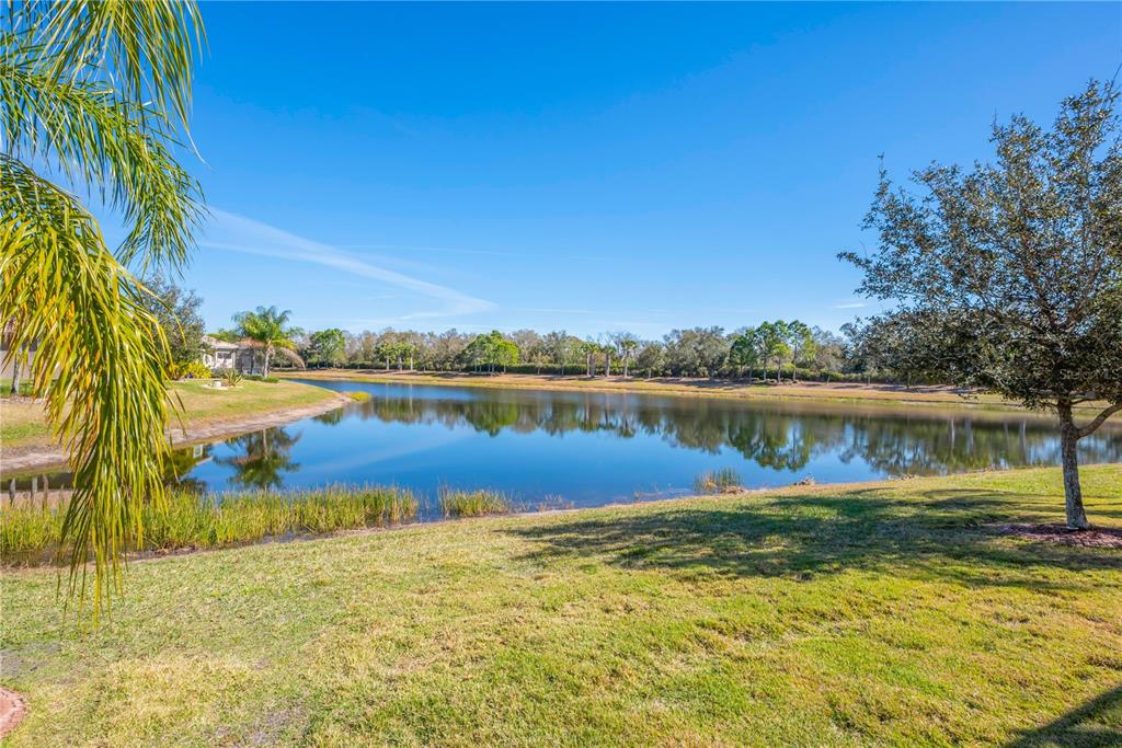 16108 Cedar Key Drive Wimauma, FL 33598 - Photo 28 of 48