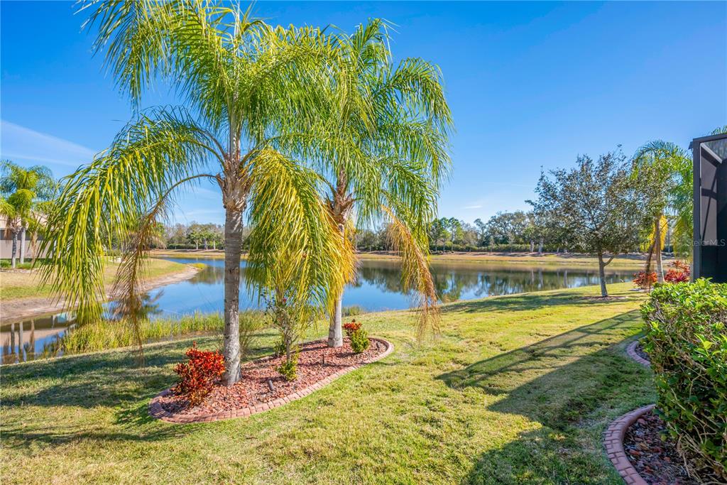 16108 Cedar Key Drive Wimauma, FL 33598 - Photo 29 of 48