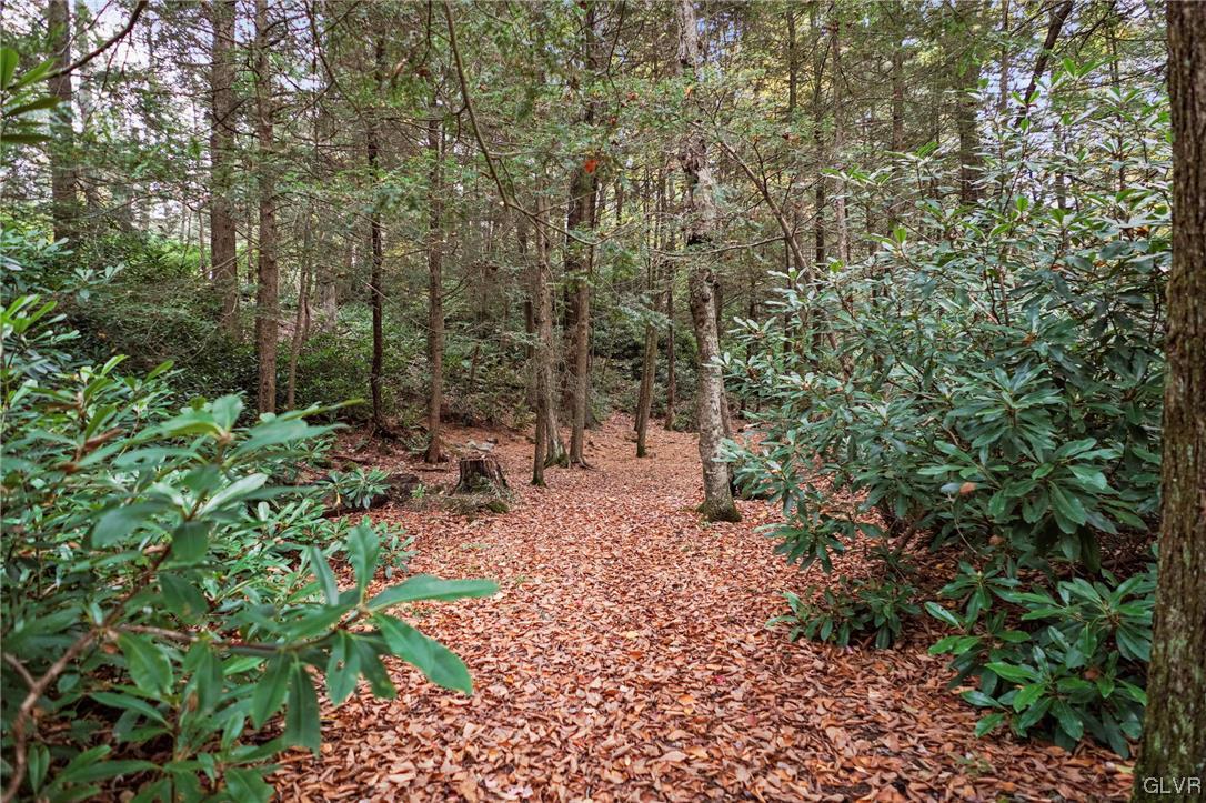 106 Stoney Creek Road Jim Thorpe, PA 18229 - Photo 42 of 50 a view of a forest with trees in the background