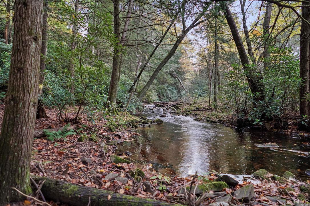106 Stoney Creek Road Jim Thorpe, PA 18229 - Photo 43 of 50 a view of water with a large tree