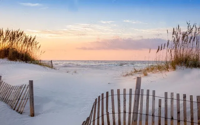 a view of a backyard with plants and large trees