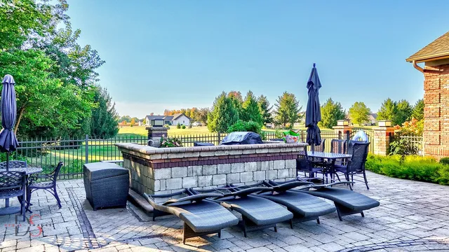 a view of a backyard with plants and large tree