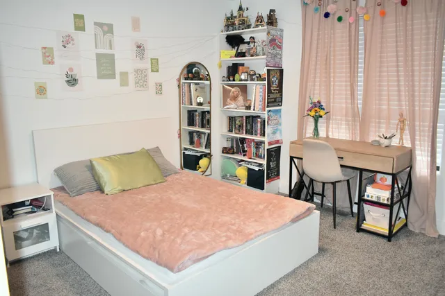 a living room with a bed and a bookshelf