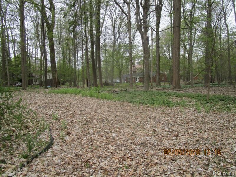 32595 Shady Ridge Drive Farmington Hills, MI 48336 - Photo 8 of 11