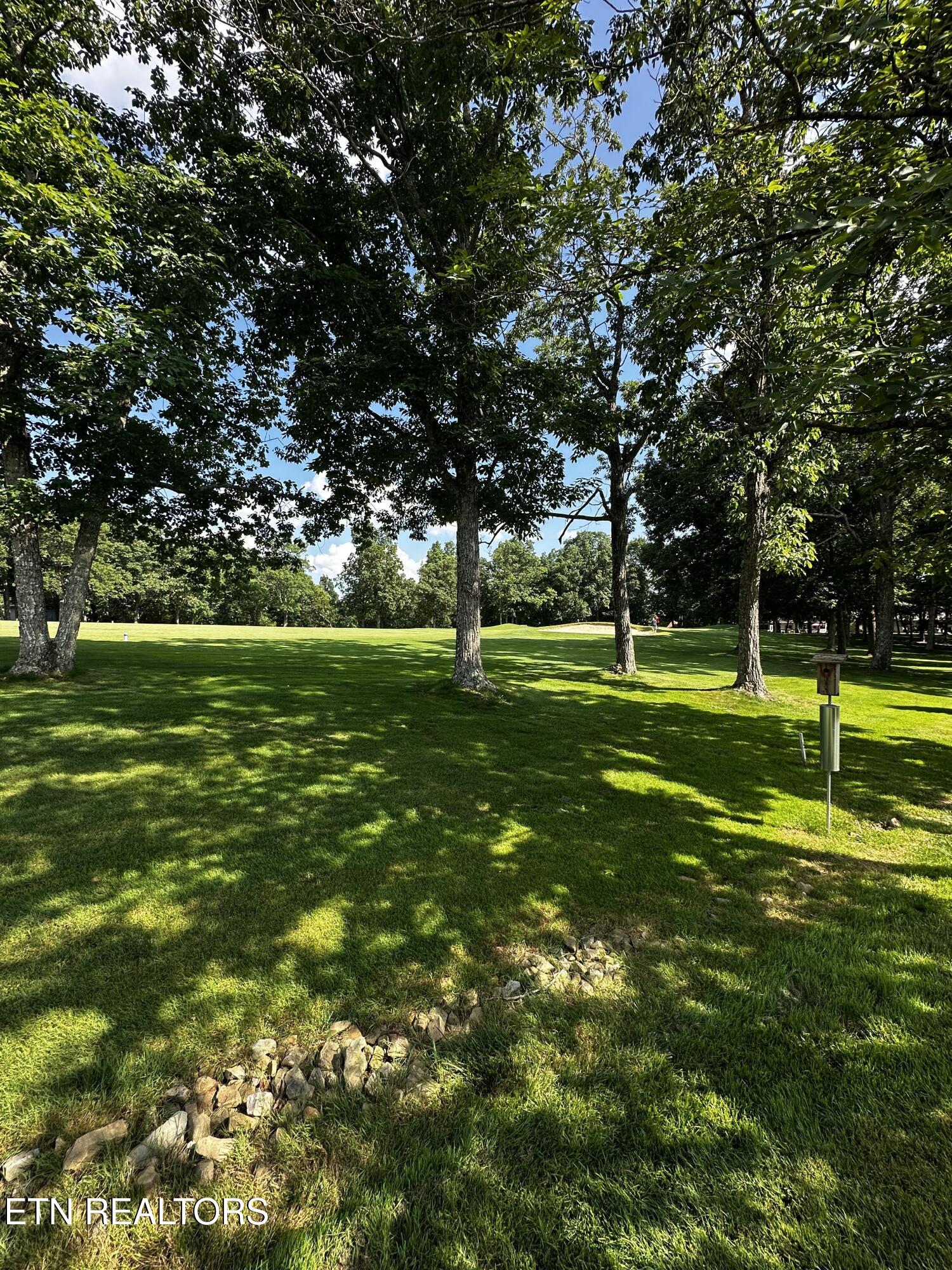 161 Greenwood Road Crossville, TN 38558 - Photo 5 of 8 Views