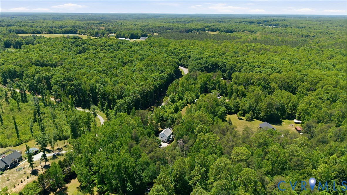 1570 Rock Castle Road Goochland, VA 23063 - Photo 51 of 53 Expansive wooded landscape featuring mature trees