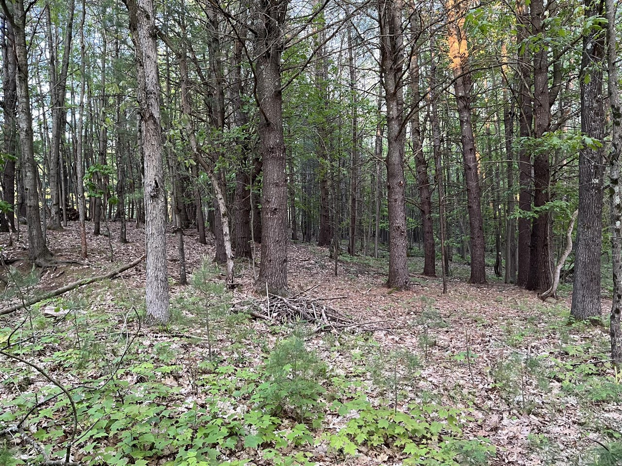 3601 Madison Road Manistee, MI 49660 - Photo 41 of 44