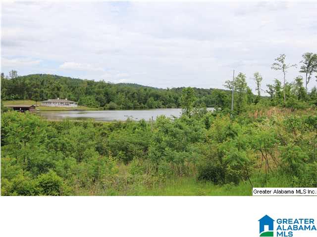 169 Eagle Cove Road Ohatchee, AL 36271 - Photo 32 of 32