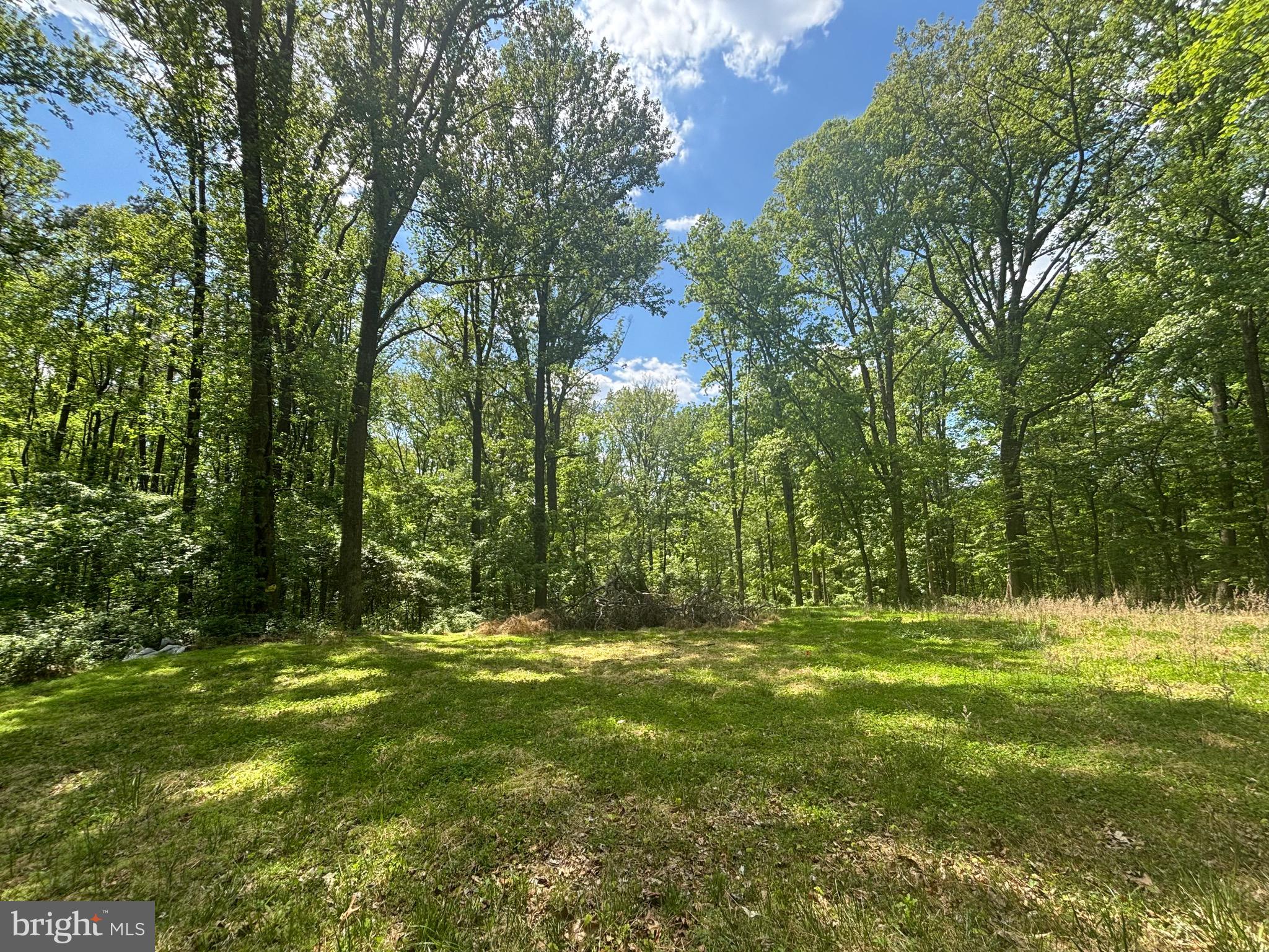 1026 Towlston Road McLean, VA 22102 - Photo 3 of 3 a view of outdoor space with trees all around