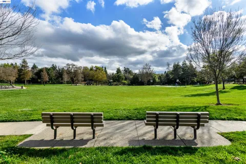 a view of a bench in the garden near a lake