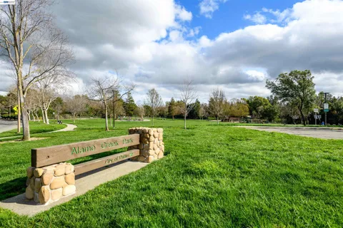 a view of a park with large trees