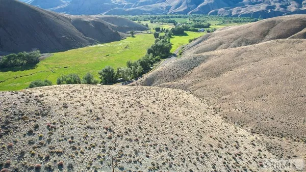 $190,000 | Tbd Morgan Creek Road, Challis, ID 83226
