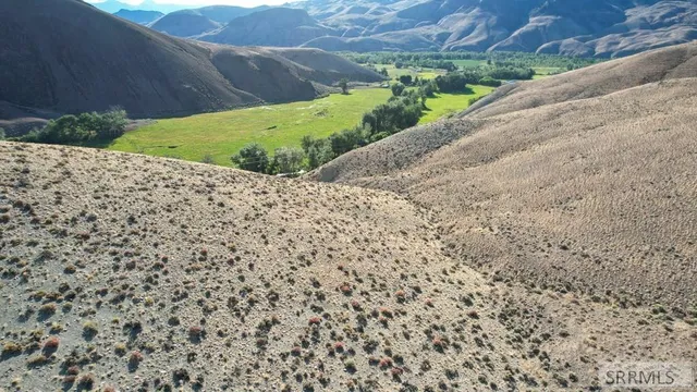 $190,000 | Tbd Morgan Creek Road, Challis, ID 83226