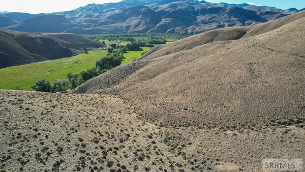 $190,000 | Tbd Morgan Creek Road, Challis, ID 83226