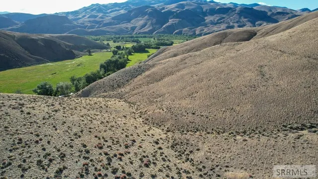 $190,000 | Tbd Morgan Creek Road, Challis, ID 83226