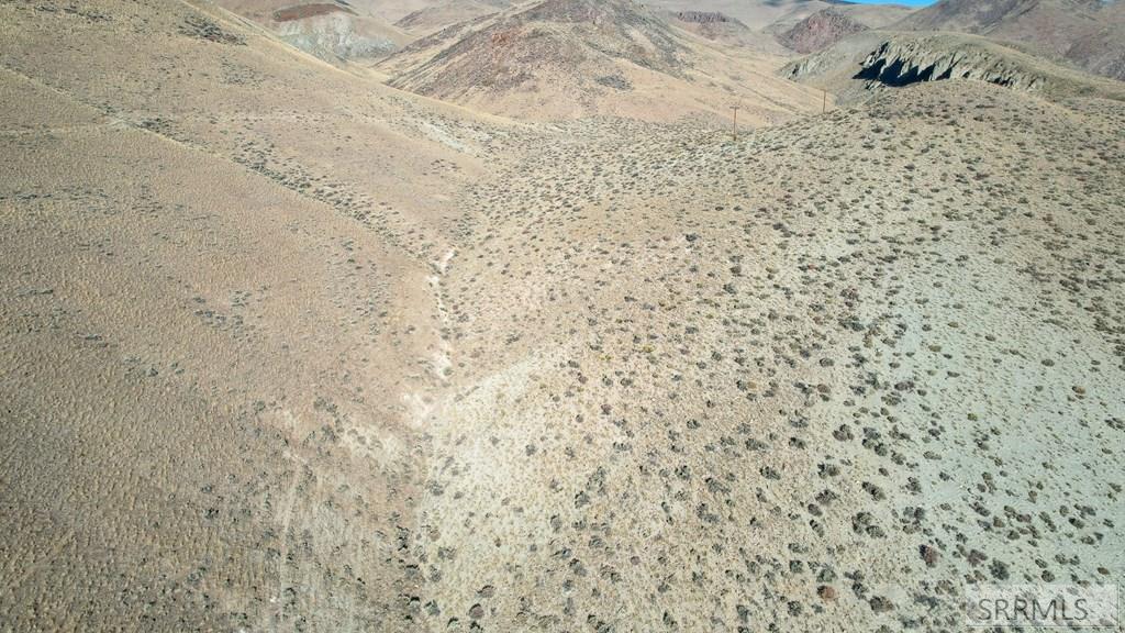 Tbd Morgan Creek Road Challis, ID 83226 - Photo 19 of 36