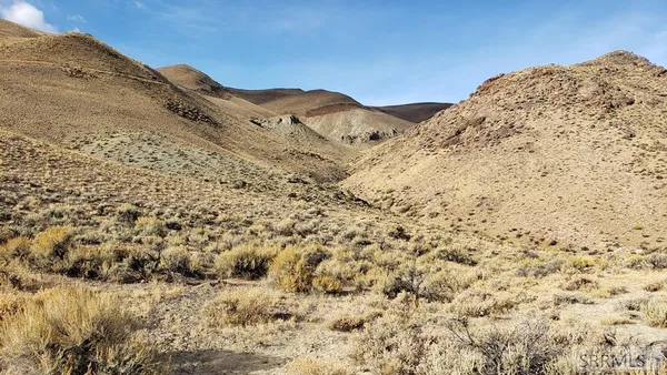 $190,000 | Tbd Morgan Creek Road, Challis, ID 83226