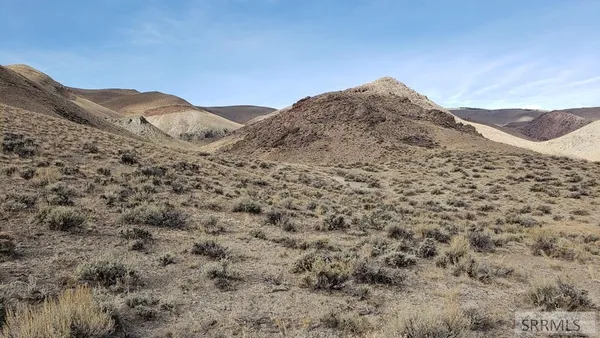 $190,000 | Tbd Morgan Creek Road, Challis, ID 83226