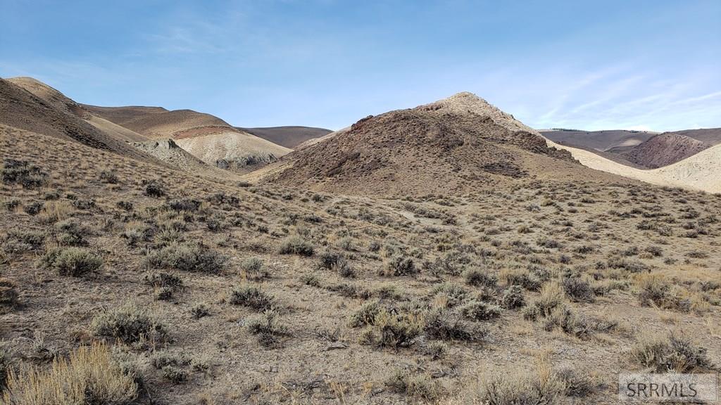 Tbd Morgan Creek Road Challis, ID 83226 - Photo 34 of 36