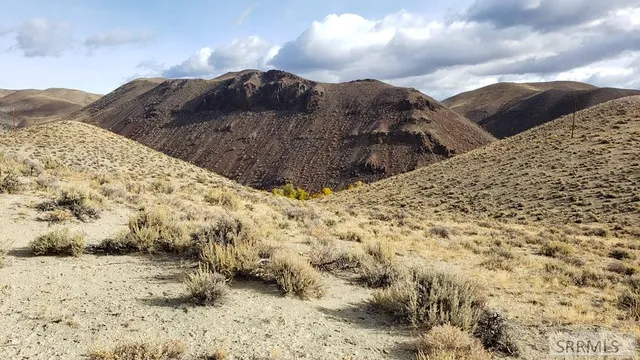 $190,000 | Tbd Morgan Creek Road, Challis, ID 83226