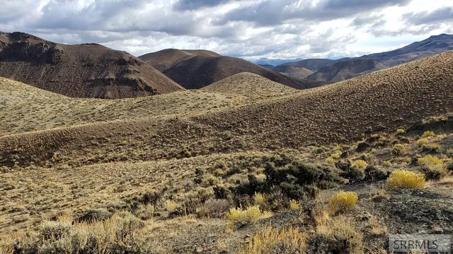 $190,000 | Tbd Morgan Creek Road, Challis, ID 83226