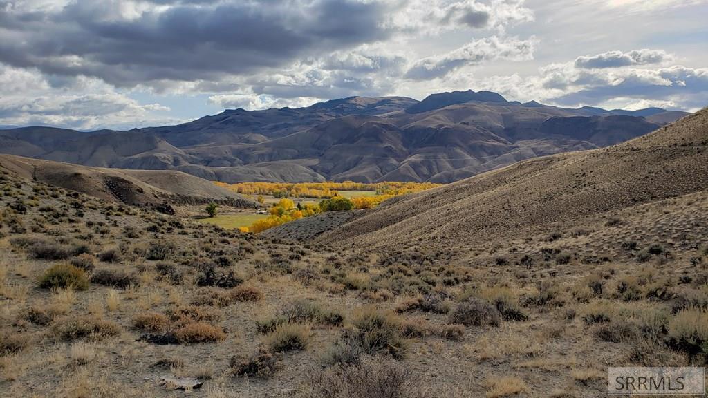 Tbd Morgan Creek Road Challis, ID 83226 - Photo 6 of 36