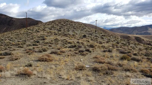 $190,000 | Tbd Morgan Creek Road, Challis, ID 83226