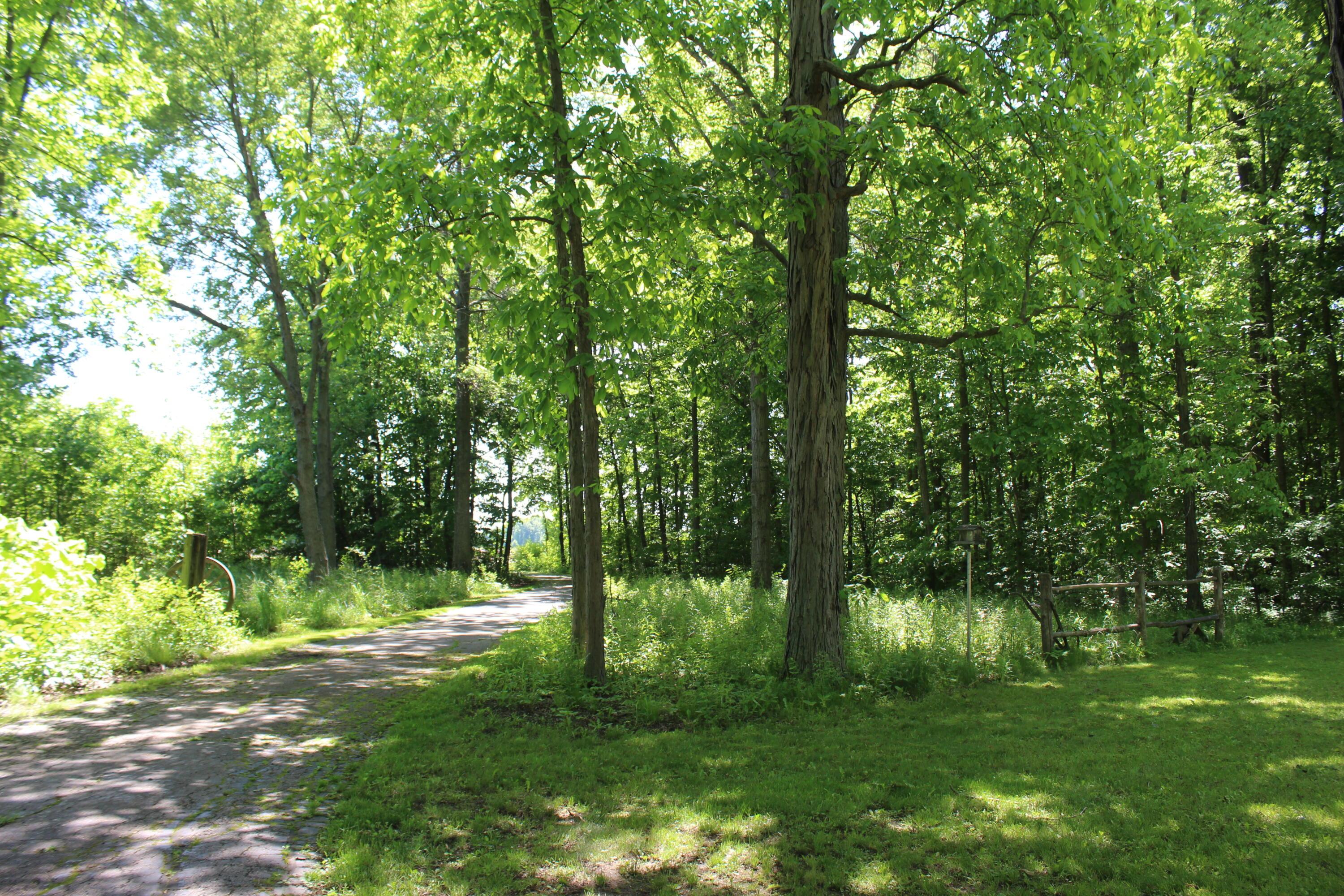 7560 Lamalie Road Green Springs, OH 44836 - Photo 36 of 55