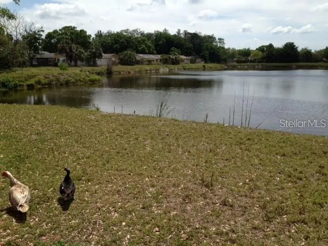 $2,298 | 10202 Bonnie Bay Court, Tampa, FL 33615