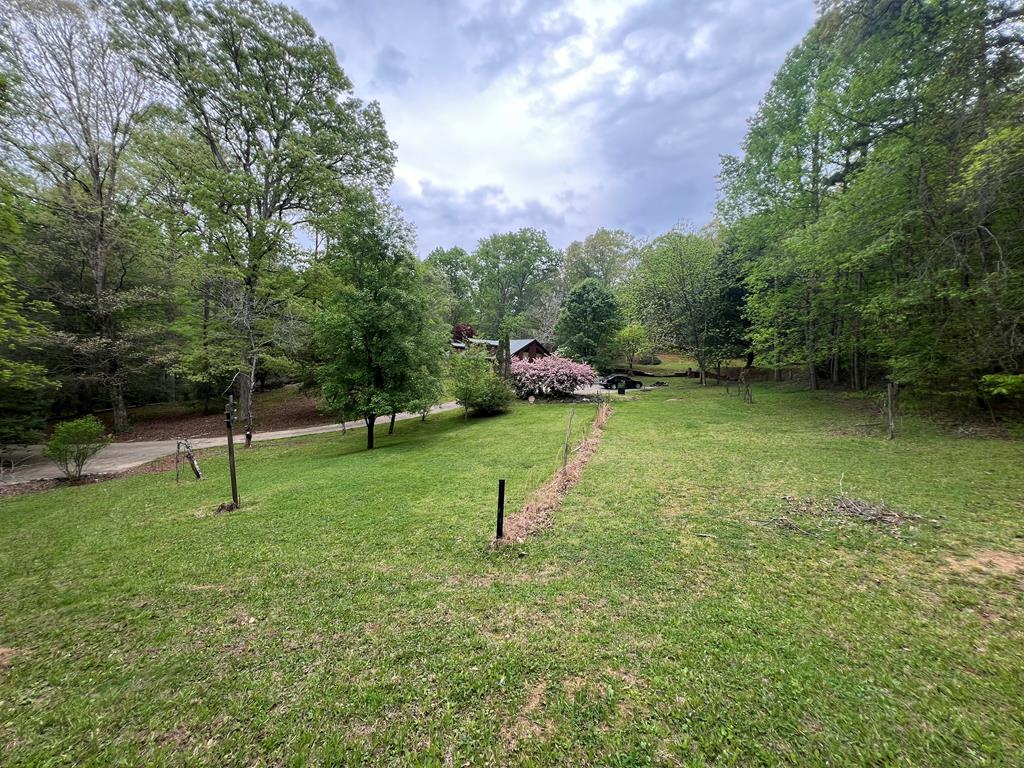 1200 Tennis Court Road Blue Ridge, GA 30513 - Photo 2 of 24 Gallery Image 2