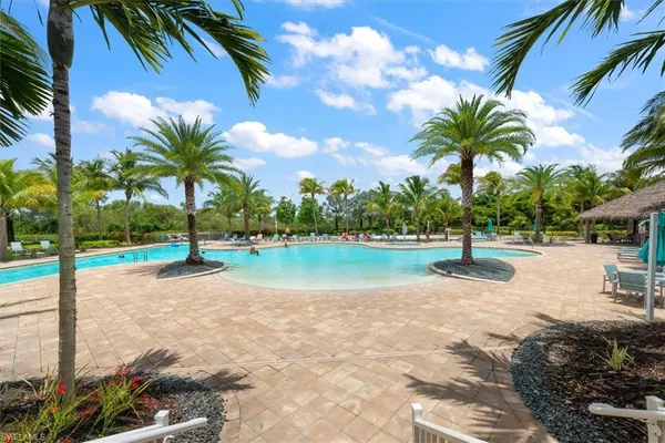 a view of a park with palm trees