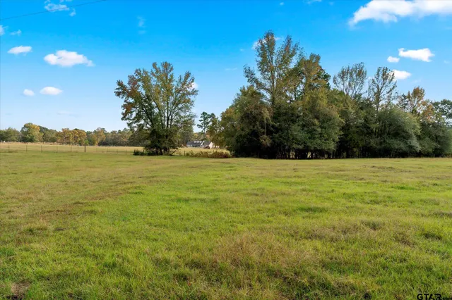a view of yard with palm trees