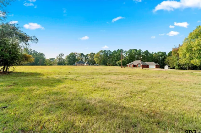 a view of a trees with a yard