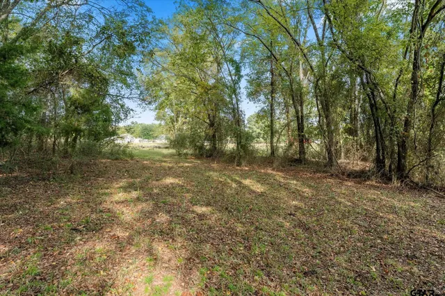 a view of a field with an ocean view