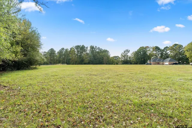 a view of a field with an ocean view