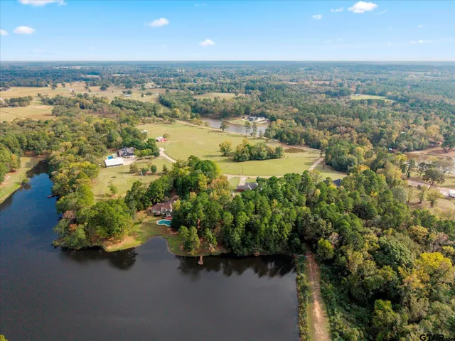 an aerial view of residential houses with outdoor space and trees
