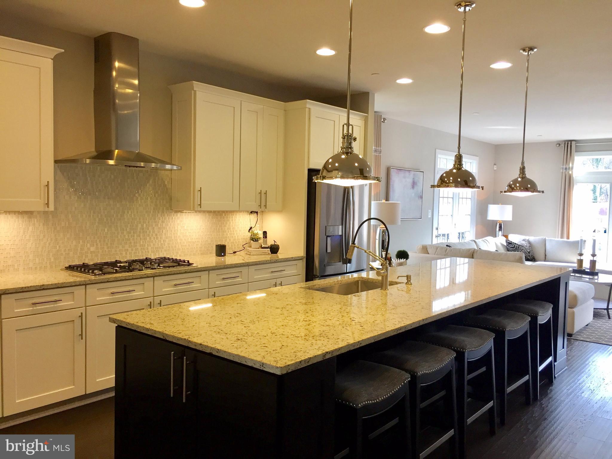 1010 Olney Sandy Spring Road Sandy Spring, MD 20860 - Photo 2 of 15 Kitchen