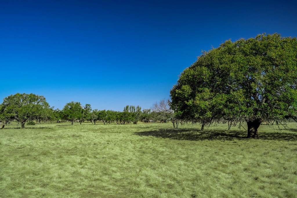 289 Laird Road, Unit 9 Harper, TX 78631 - Photo 7 of 46 Gallery Image 7