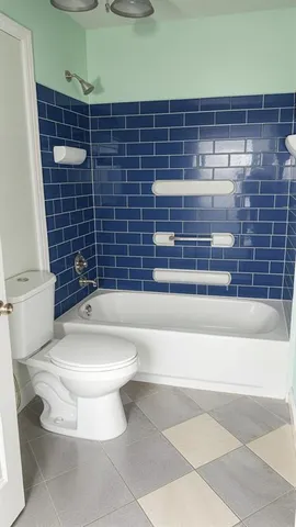 a bathroom with a toilet and a bathtub