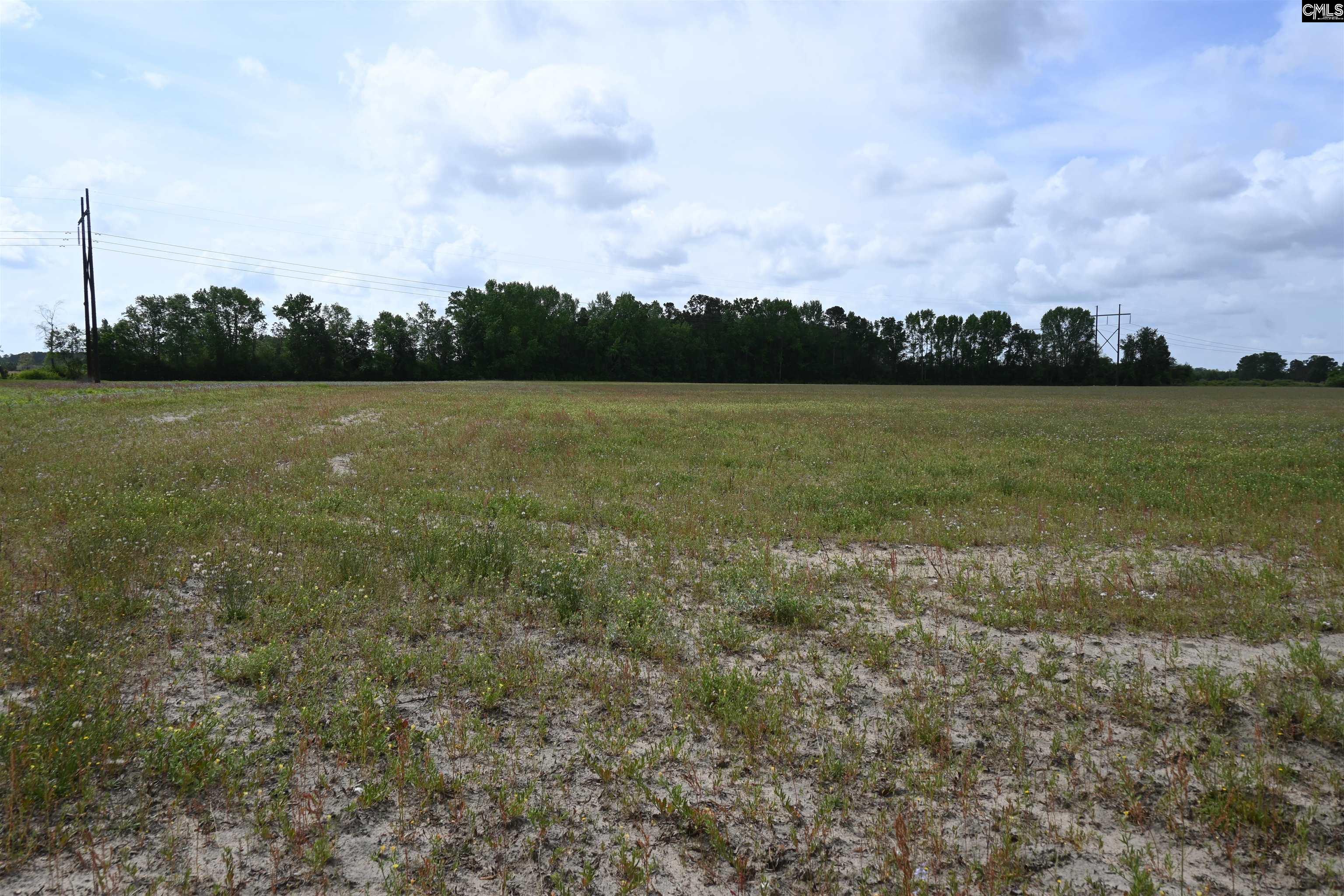 Tbd Gallowaytown Road Hartsville, SC 29550 - Photo 30 of 34