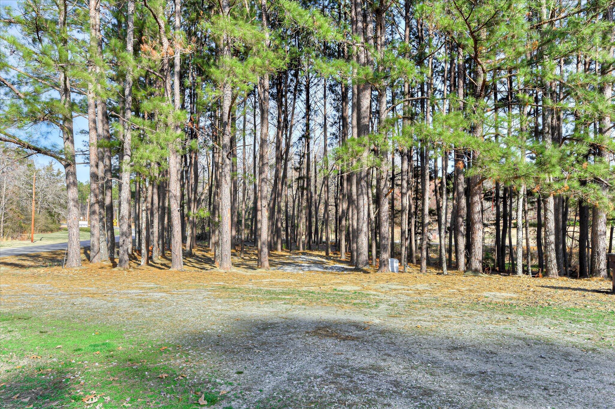 136 Edison Road Washington, GA 30673 - Photo 15 of 40 15-115
