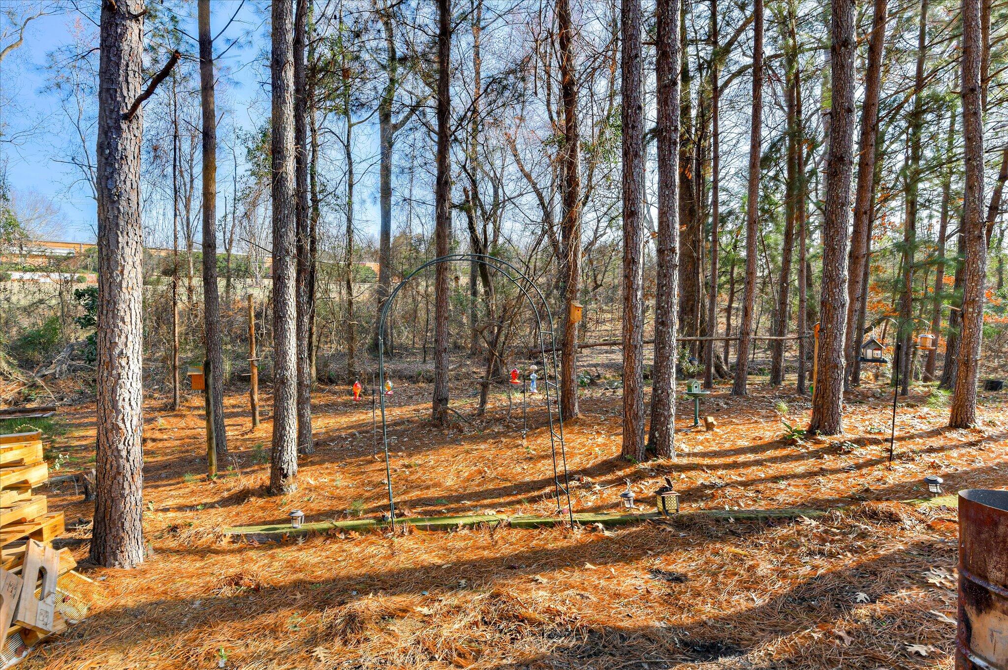 136 Edison Road Washington, GA 30673 - Photo 34 of 40 34-134