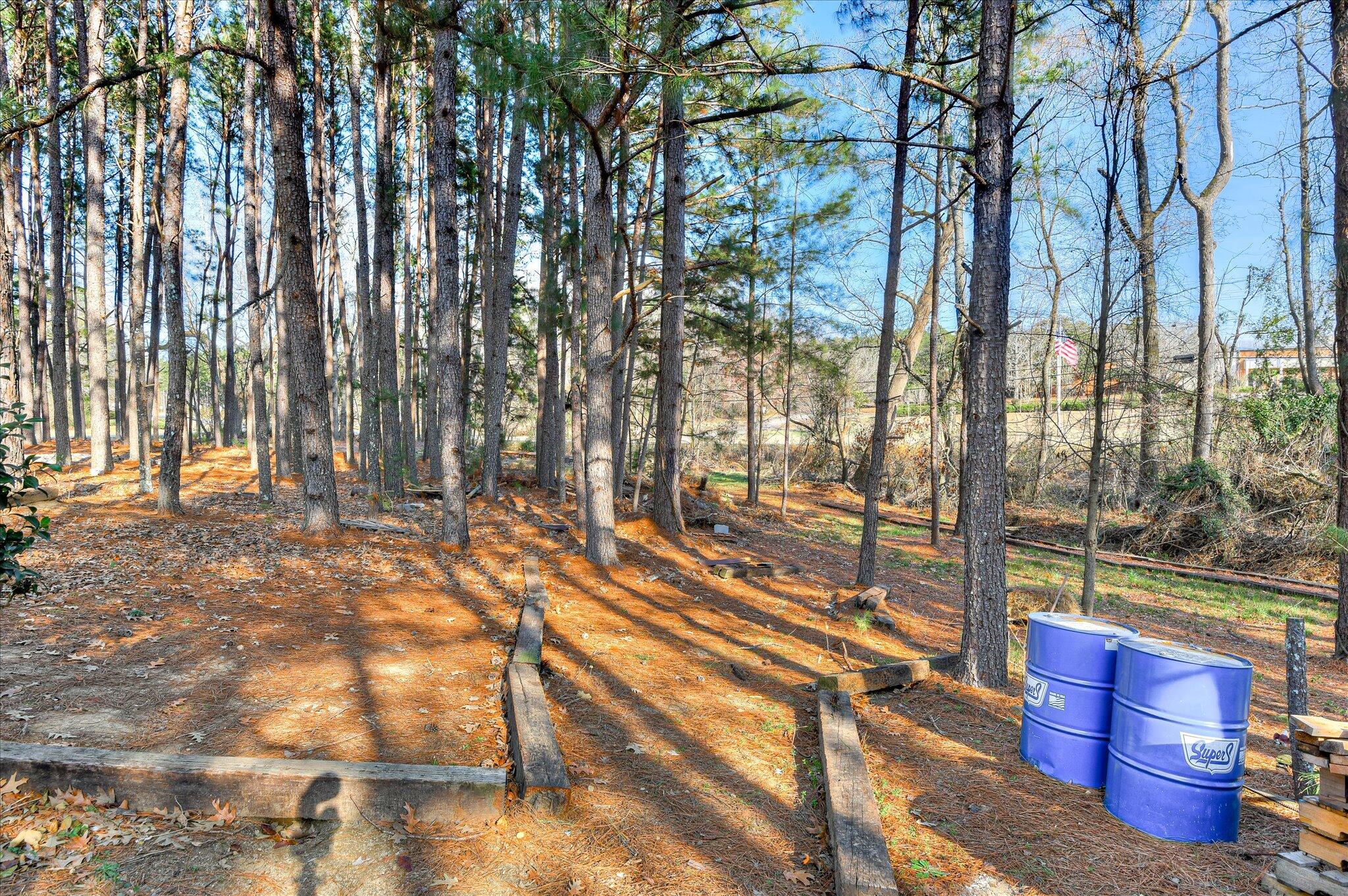 136 Edison Road Washington, GA 30673 - Photo 35 of 40 35-135