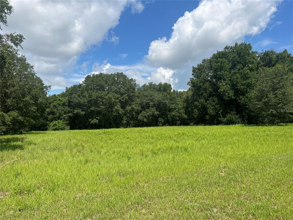 0 Southeast 101st Court Road Belleview, FL 34420 - Photo 1 of 1 From the road front