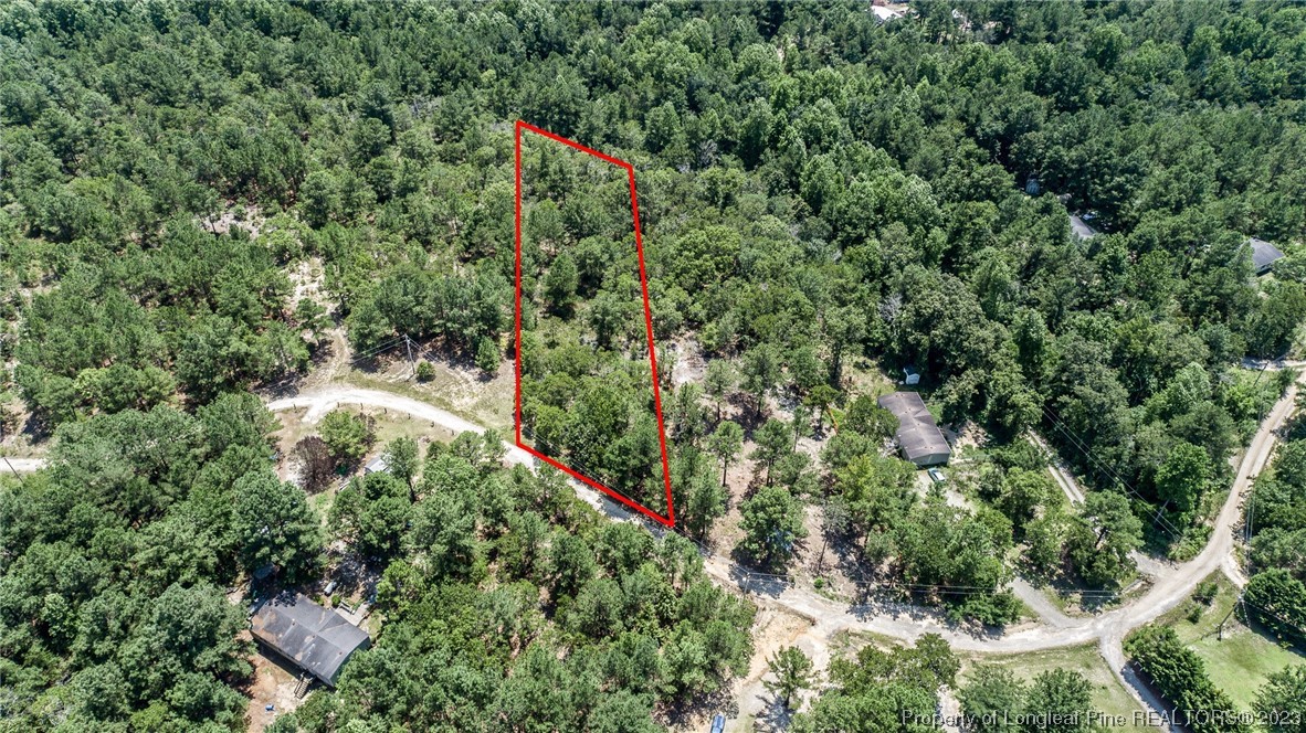 766 Ed Thomas Road Cameron, NC 28326 - Photo 2 of 5 an aerial view of residential house with outdoor space and trees all around