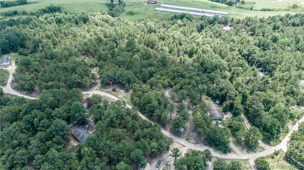 766 Ed Thomas Road Cameron, NC 28326 - Photo 4 of 5 an aerial view of a house with a yard