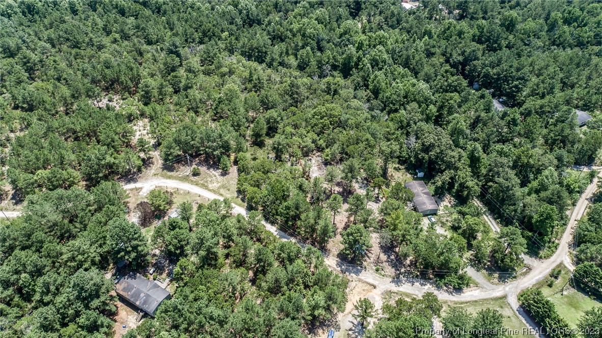 766 Ed Thomas Road Cameron, NC 28326 - Photo 5 of 5 an aerial view of a house with a yard and outdoor seating