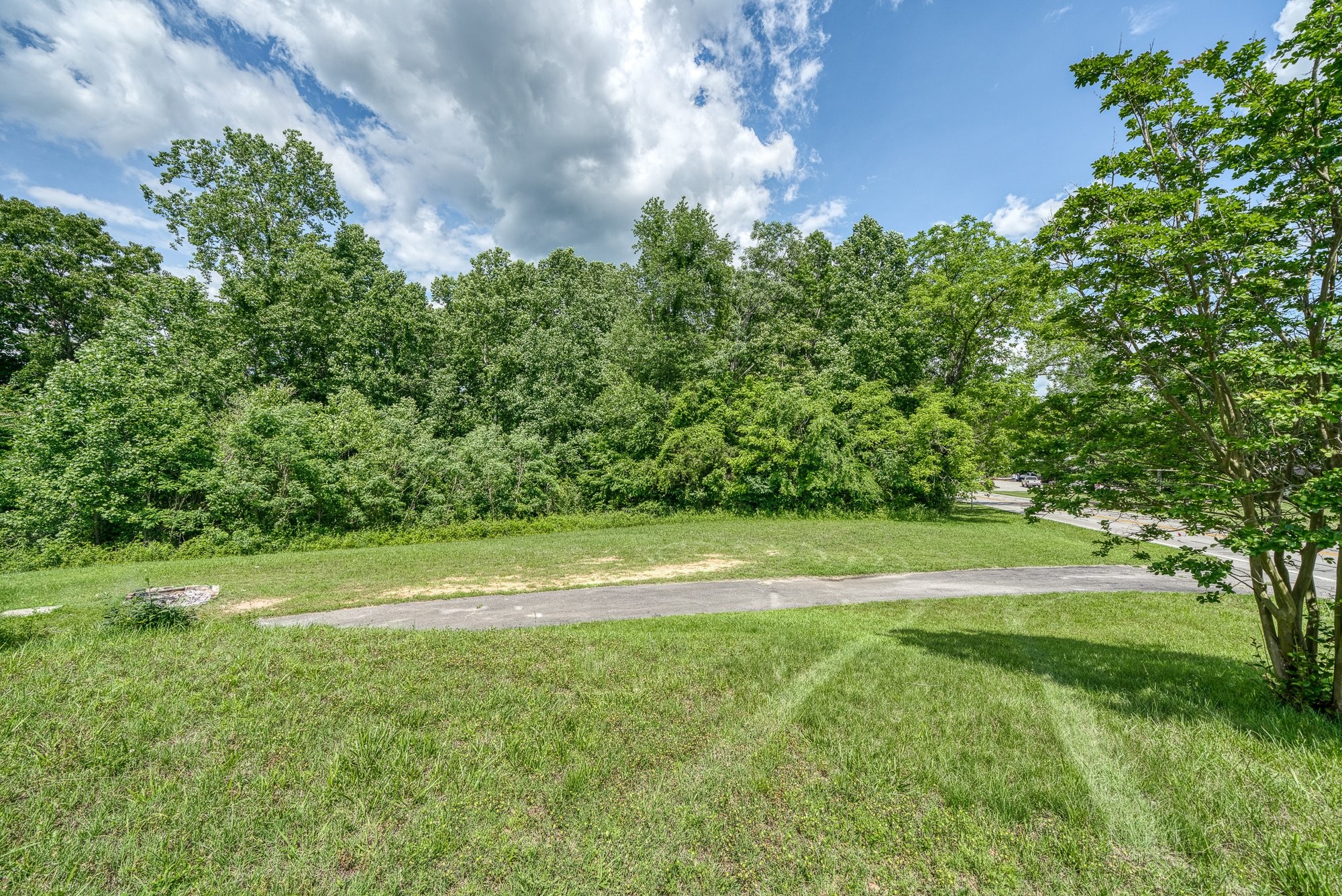 1121 East Gooseneck Road Doyle, TN 38559 - Photo 11 of 20 a view of a yard with a large trees